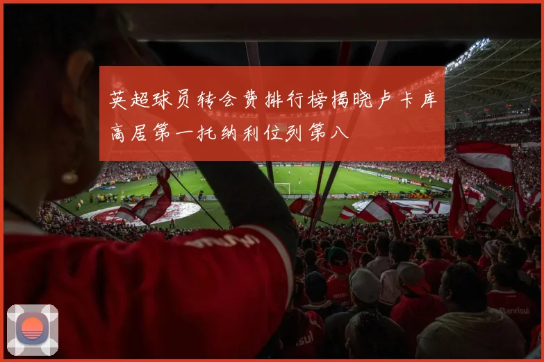 英超球员转会费排行榜揭晓卢卡库高居第一托纳利位列第八